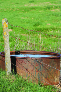 l'abreuvoir